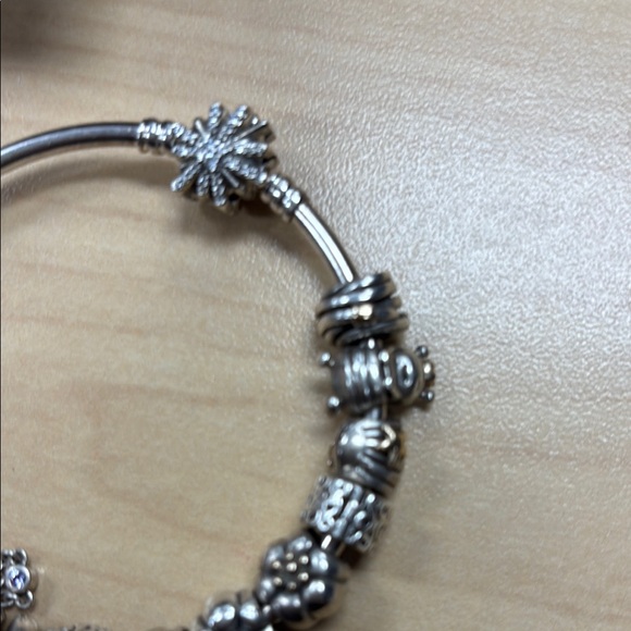 Pandora Silver Charm Bracelet with Intricate Charms - Picture 2 of 3